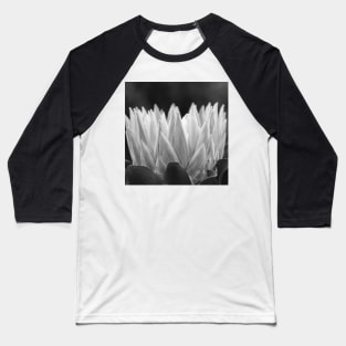Monochrome Protea Flower - Hampton Style Baseball T-Shirt